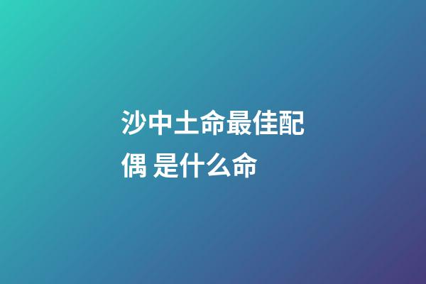 沙中土命最佳配偶 是什么命